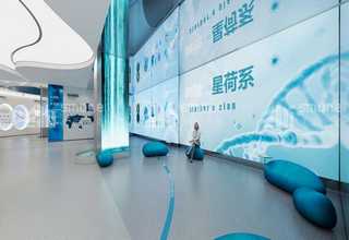 浙江3d全息投影婚礼